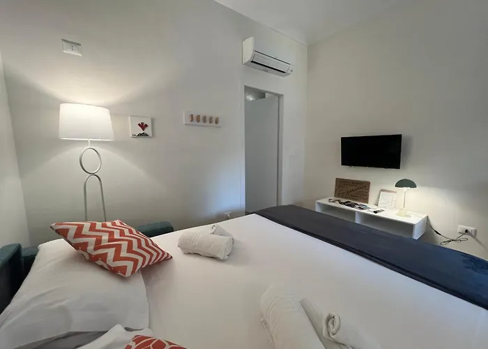 Acadamis Maison Mara - Quadrilatero